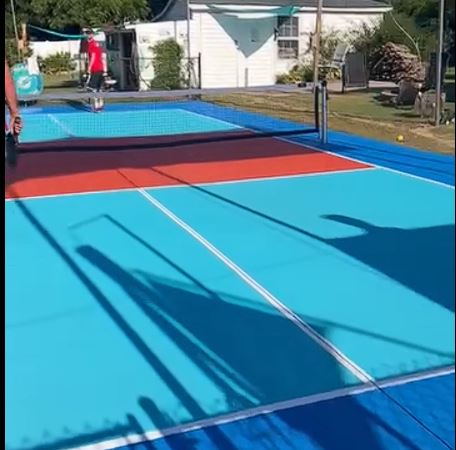 dolphins court